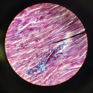 Meet your Posher, Ethan